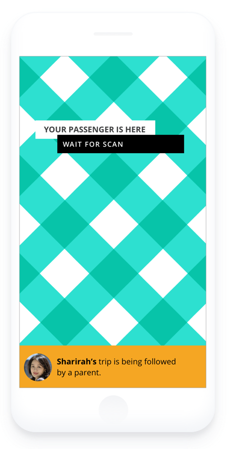 Visual patterns to verify data